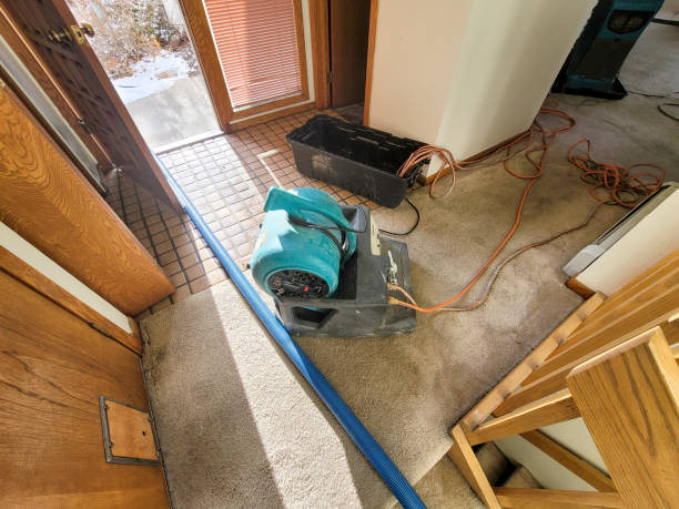 Best Ceiling water damage repair  in Brawley, CA