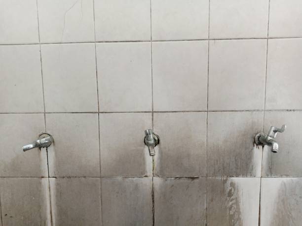 Trusted Brawley, CA Water damage restoration Experts