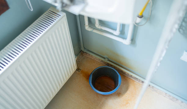 Best Carpet water damage restoration  in Brawley, CA