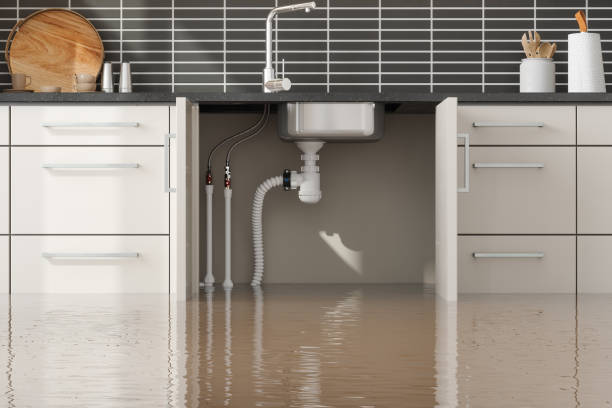 Best Commercial water damage restoration  in Brawley, CA