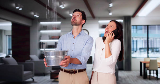 Best Water damage contractors near me  in Brawley, CA